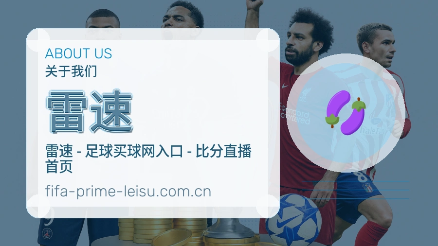雷速赛程档案服务说明